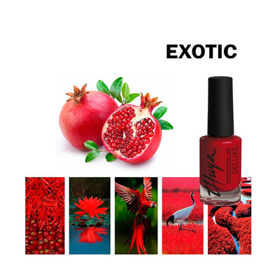 Esmalte Thuya Deluxe Rojo Exotic nº7