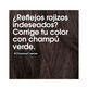 Chroma Créme Champú Verde Serie Expert