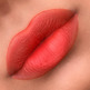 Lipstick Matte & Fluid Nee Makeup Gipsy