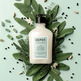 nº.501 Moisturizing Beard Shampoo Sartorial Sage Depot